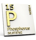 fosfor_02.jpg
